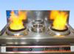 燃料 從傳統到可再生能源的演進